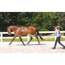 Lunging System