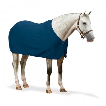 Centaur Turbo-Dry Dress Cooler